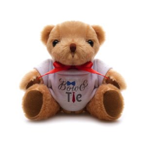 Fuzzy 20cm Teddy Bear