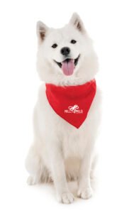 Pet Bandana Small